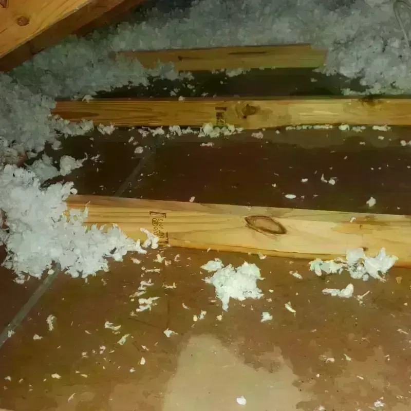 Attic Water Damage in Flatwoods, KY